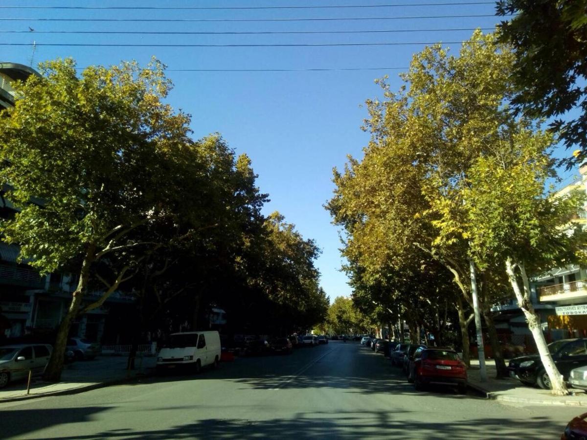 Beautiful Apartment -Up To 4 Guests- Close To City Centre! Selanik Dış mekan fotoğraf